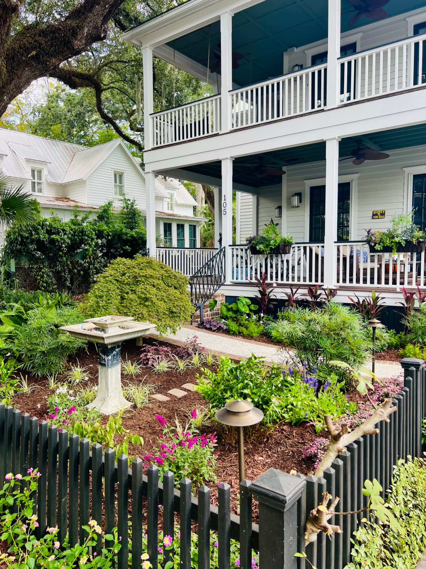 Charleston-style home with two-story white porches and haint blue ceilings, framed by a live oak, with a blooming front garden of cordyline, lantana, and salvia behind a dark picket fence